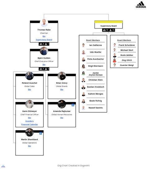 organizational structure of adidas company.